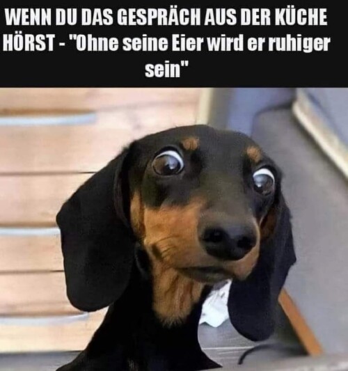 0460E48D-4D1C-43D7-934C-96787450CD4E9fcfb8b915434faa.jpeg
